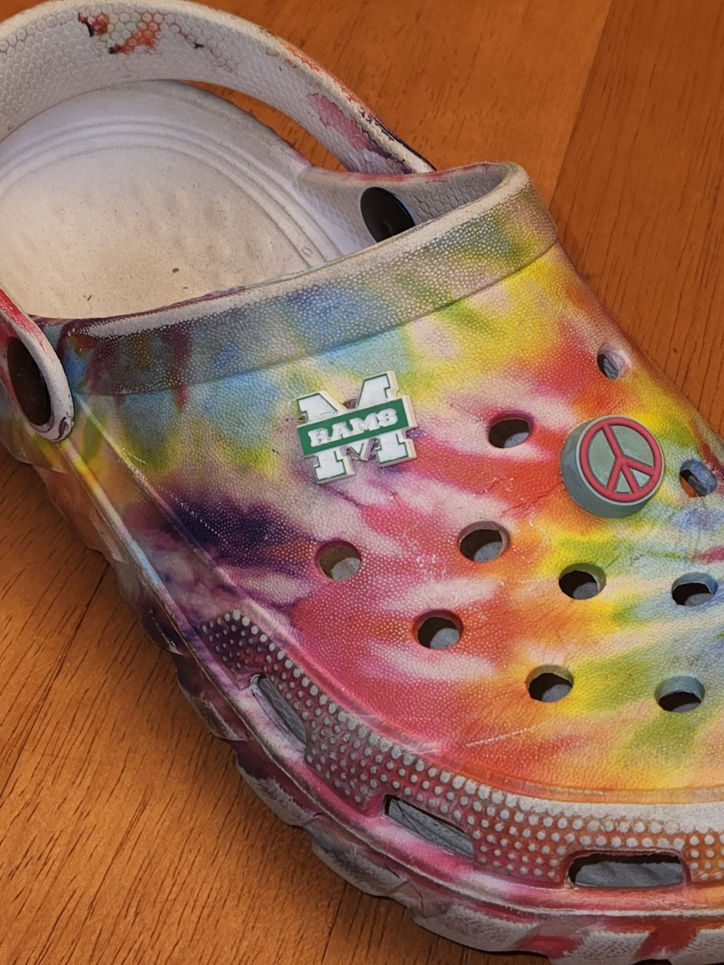 Shoe Charm
